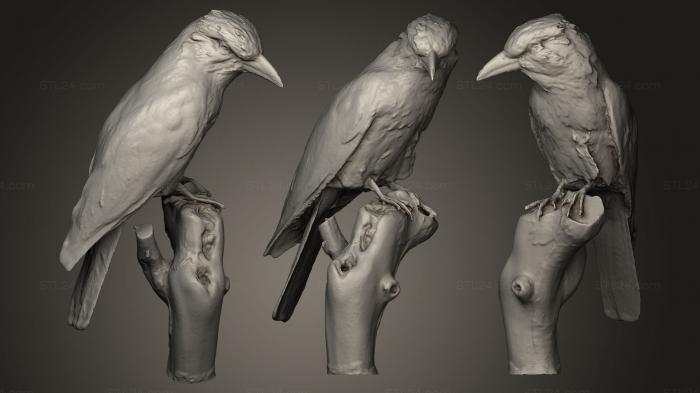 Bird figurines (Scharrelaar, STKB_0126) 3D models for cnc